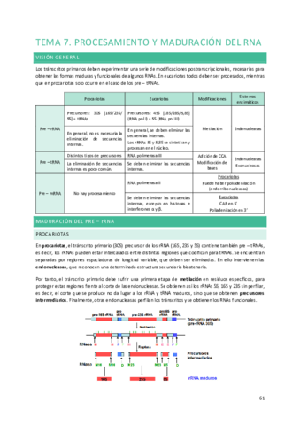 Tema-7.pdf