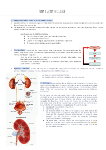 TEMA-8-APARATO-EXCRETOR.pdf