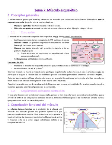 Tema-7-Musculo-esqueletico.pdf