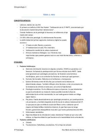 Tema 1 HAV.pdf