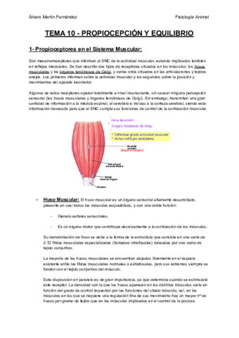 TEMA-10-PROPIOCEPCION-Y-EQUILIBRIO.pdf