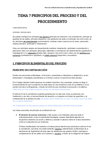TEMA-7-PRINCIPIOS-DEL-PROCESO-Y-DEL-PROCEDIMIENTO-2.pdf
