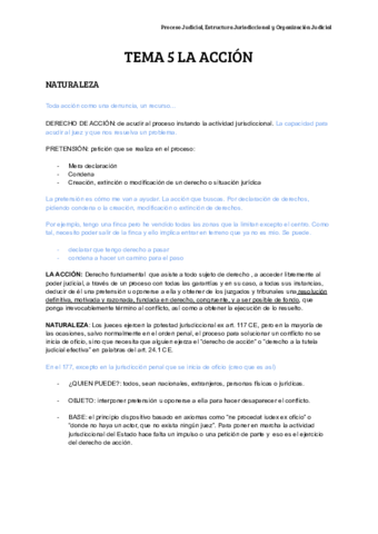 TEMA-5-LA-ACCION-1.pdf