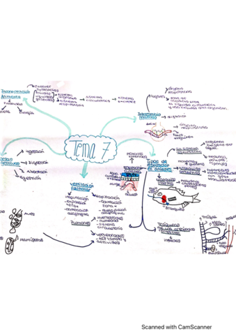 tema-7-biologia-1-bach.pdf