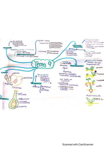 tema-9-biologia-1bach.pdf