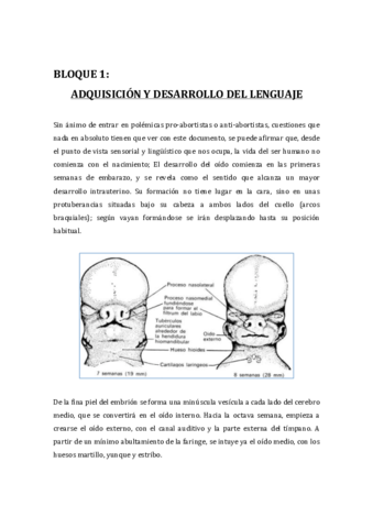 BLOQUE-1.pdf