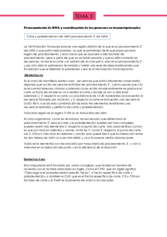 Tema-3-BBM.pdf