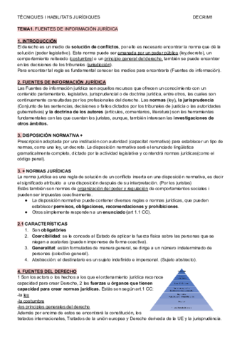 TECNICAS-Y-HABILIDADES-JURIDICASCOMPLETO.pdf