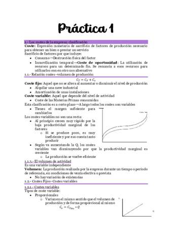 Practica-1-Resumen.pdf