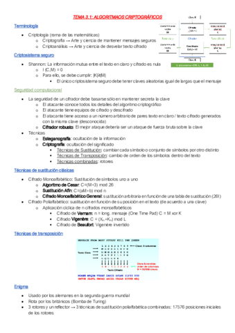 TEMA-31.pdf