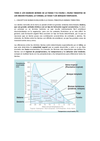 BAMA-TEMA-3.pdf