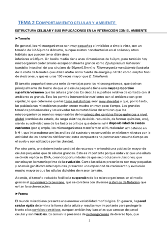 TEMA-2-MBA.pdf