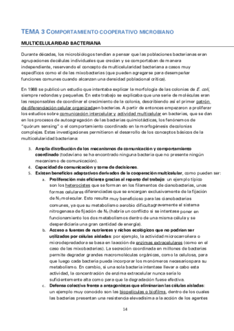 TEMA-3-MBA.pdf
