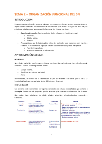 TEMA-2-ORGANIZACION-FUNCIONAL-DEL-SN.pdf