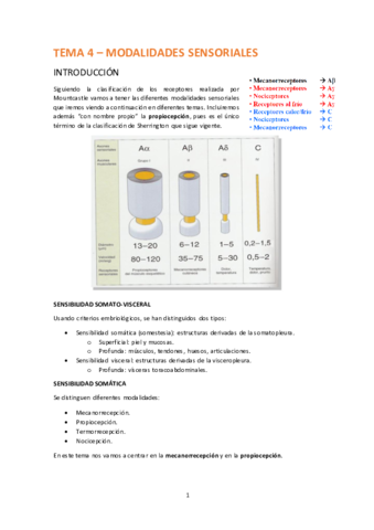 TEMA-4-MODALIDADES-SENSORIALES.pdf