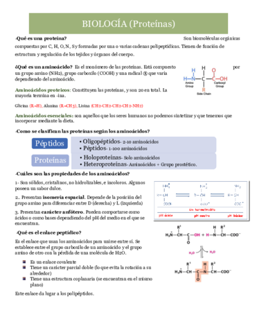 T3-Proteinas-.pdf