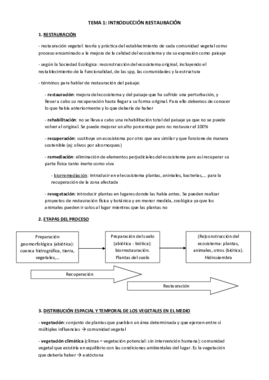APUNTES RESTAURACIÓN.pdf
