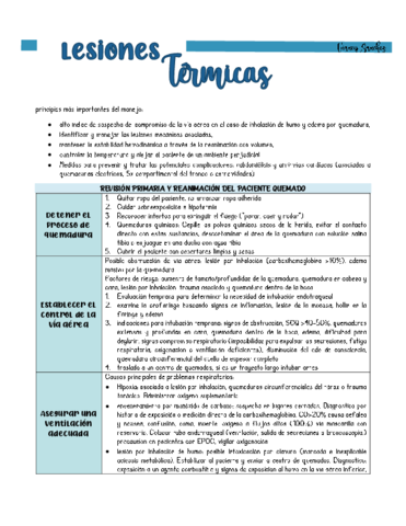 11-lesiones-termicas.pdf