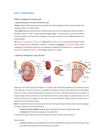 Tema-6.pdf