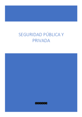 SEGURIDAD-PUBLICA-Y-PRIVADA.pdf
