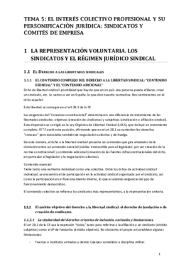 TEMA 5 sindical.pdf