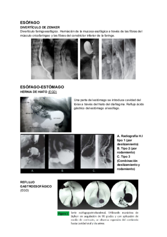 PATOLOGIAS-TEMA-2.pdf