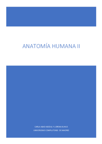 ANATOMIA-II-MIEMBRO-INFERIOR.pdf