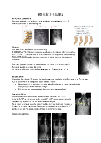 PATOLOGIAS-DE-COLUMNA.pdf