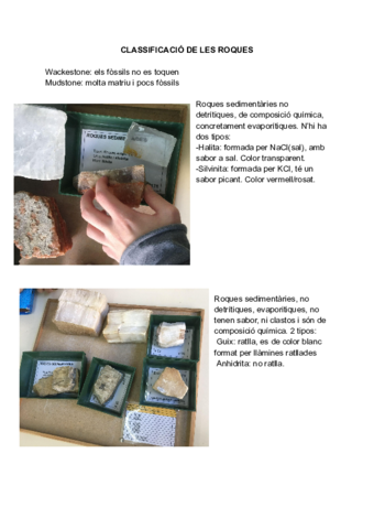 CLASSIFIACIO-DE-LES-ROQUES.pdf