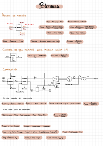 Biomasa.pdf