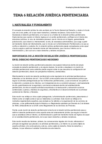 TEMA-6-RELACION-JURIDICA-PENITENCIARIA.pdf