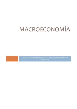 TEMA 1 MACROECONOMIA.pdf