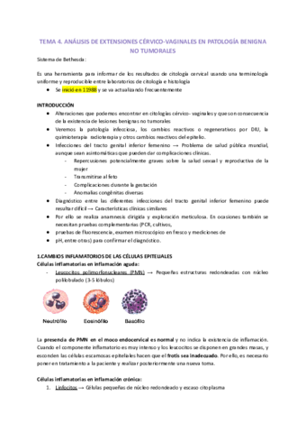 TEMA-4.pdf