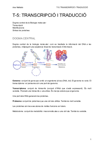 T-5-TRANSCRIPCIO-I-TRADUCCIO-1.pdf