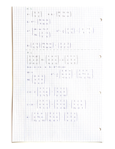 MATRICES-1.pdf