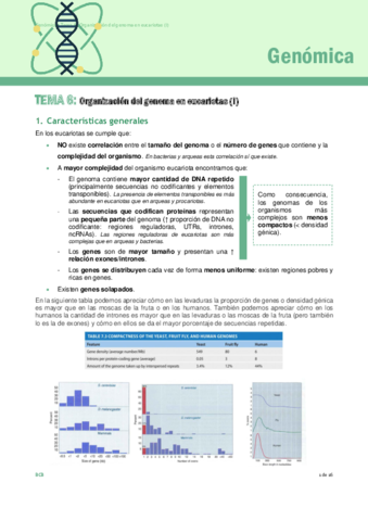 APUNTES-TEMA-6ORGANIZACION-DEL-GENOMA-EN-EUCARIOTAS.pdf