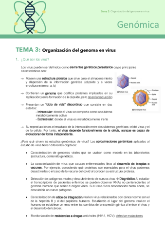 tema-3-genoma-virus.pdf