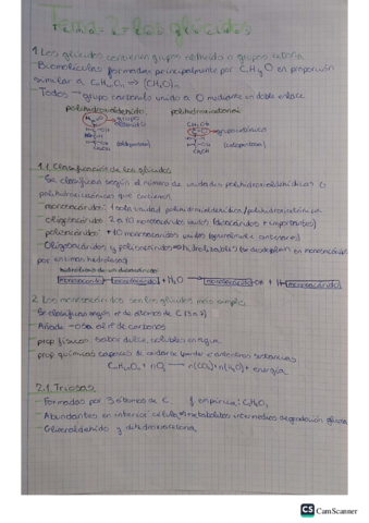 glucidos.pdf