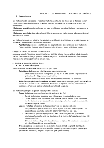 Mutacions i enginyeria genètica.pdf