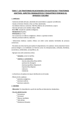 TEMA 7.pdf