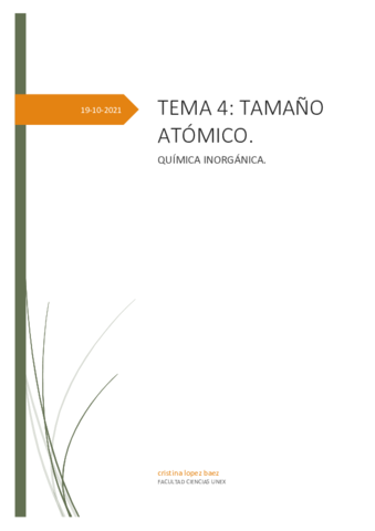 tema-4-tamano-atomico.pdf