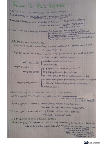 lipidos.pdf