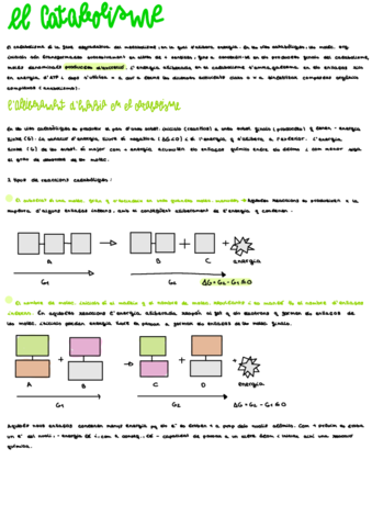 Tema-10.pdf