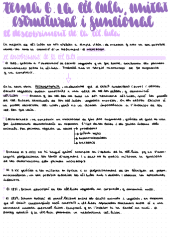 Tema-6.pdf