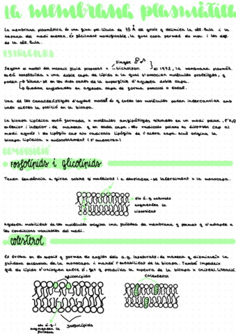 Tema-7.pdf