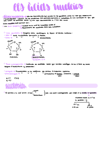 Tema-5.pdf