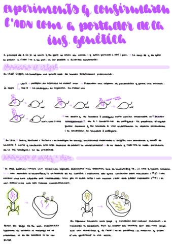 Tema-14.pdf