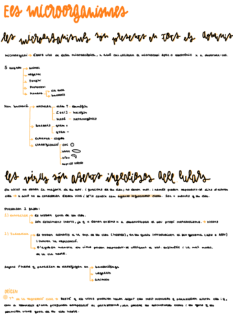 Tema-I7-bio.pdf
