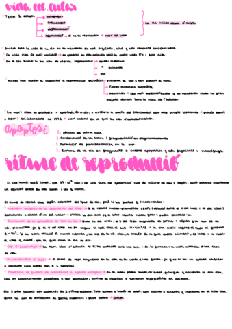 Tema-12.pdf