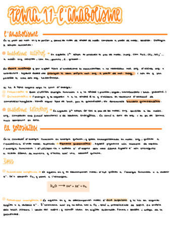 Tema-11.pdf